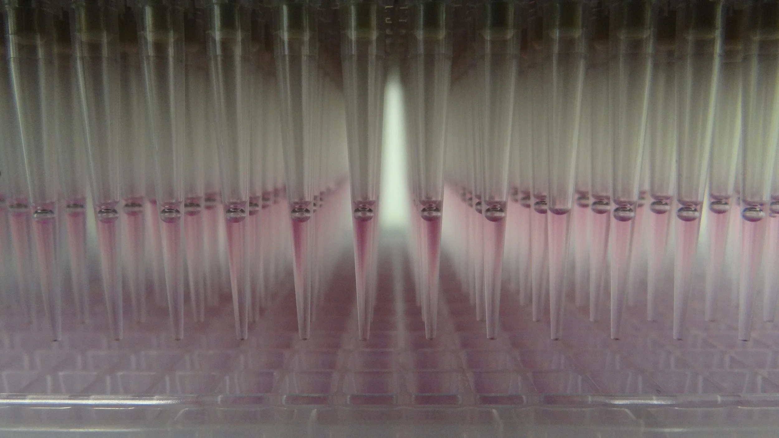 Time to apply for 2026 large project support 