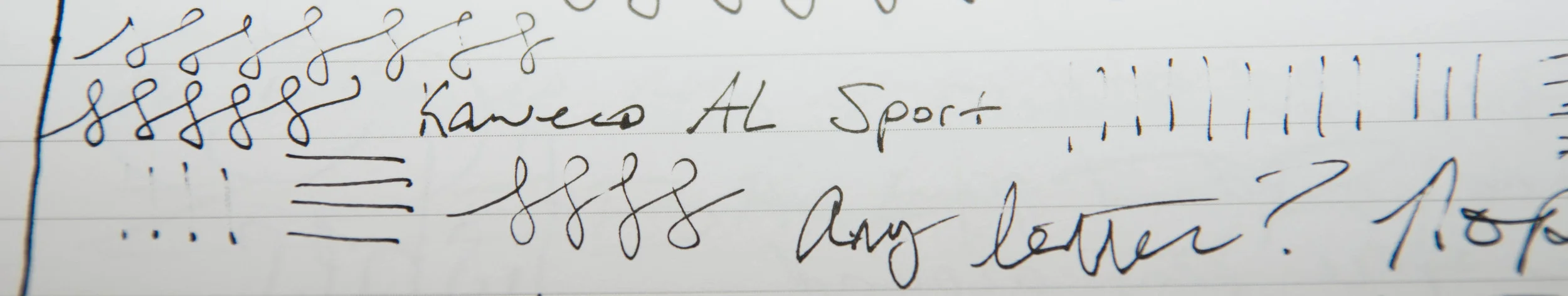 writing sample.jpg