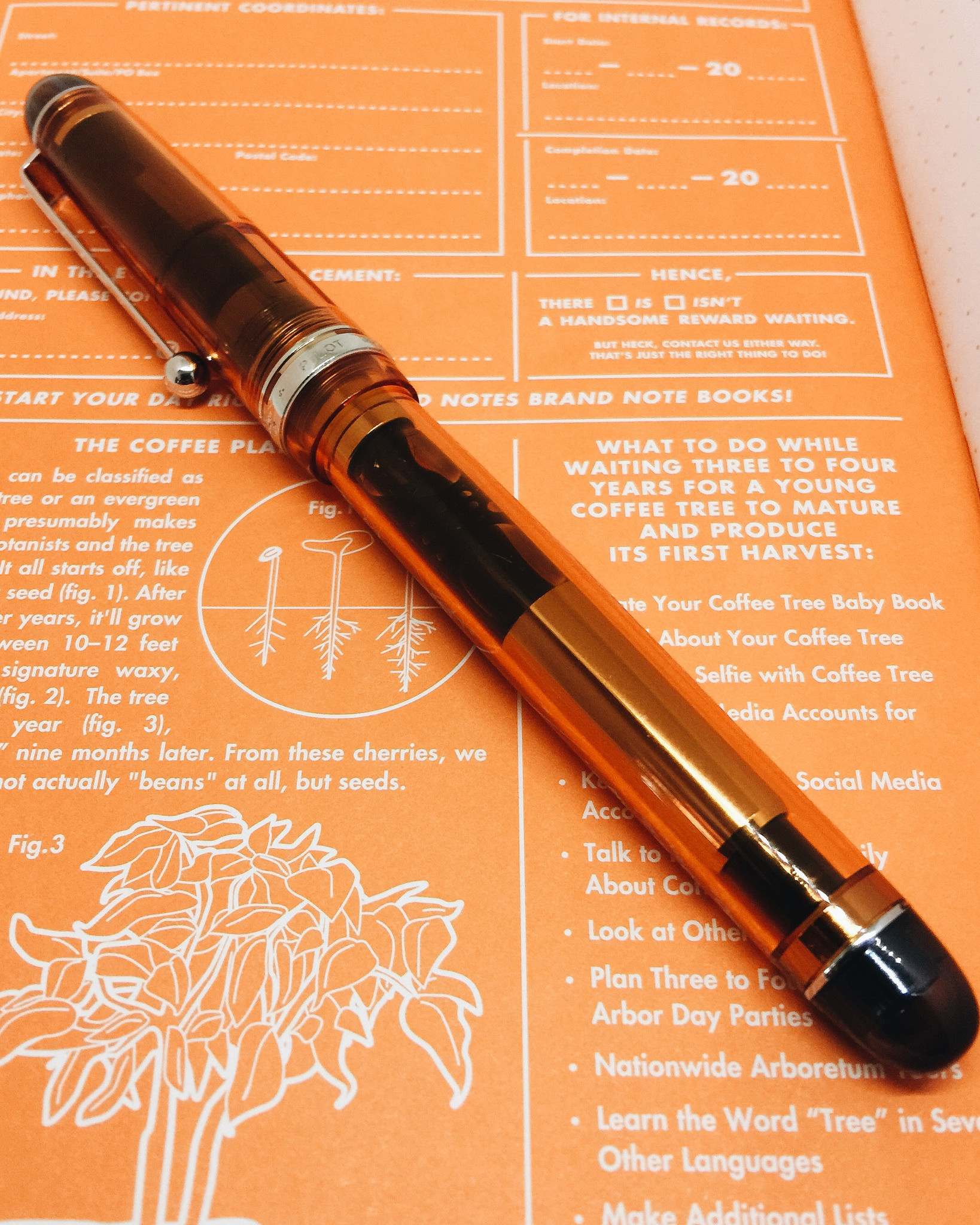 Pilot Custom 74 Orange Barrel