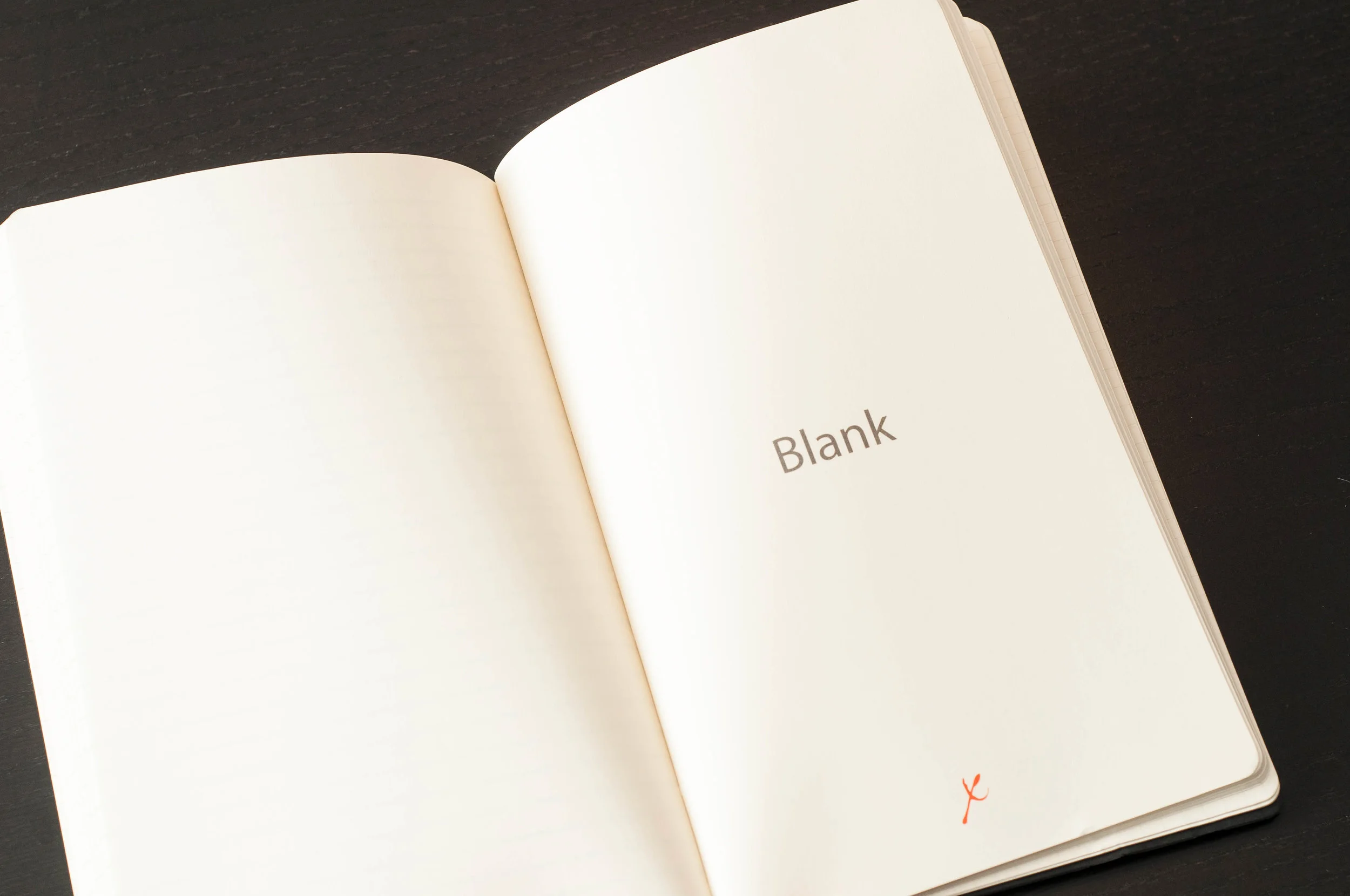 Stifflexible Vintage Surfing Notebook Review — The Pen Addict