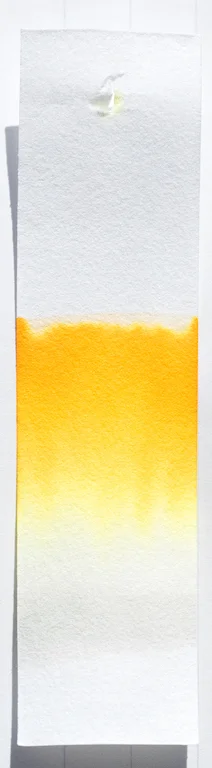 Chromatography.jpg