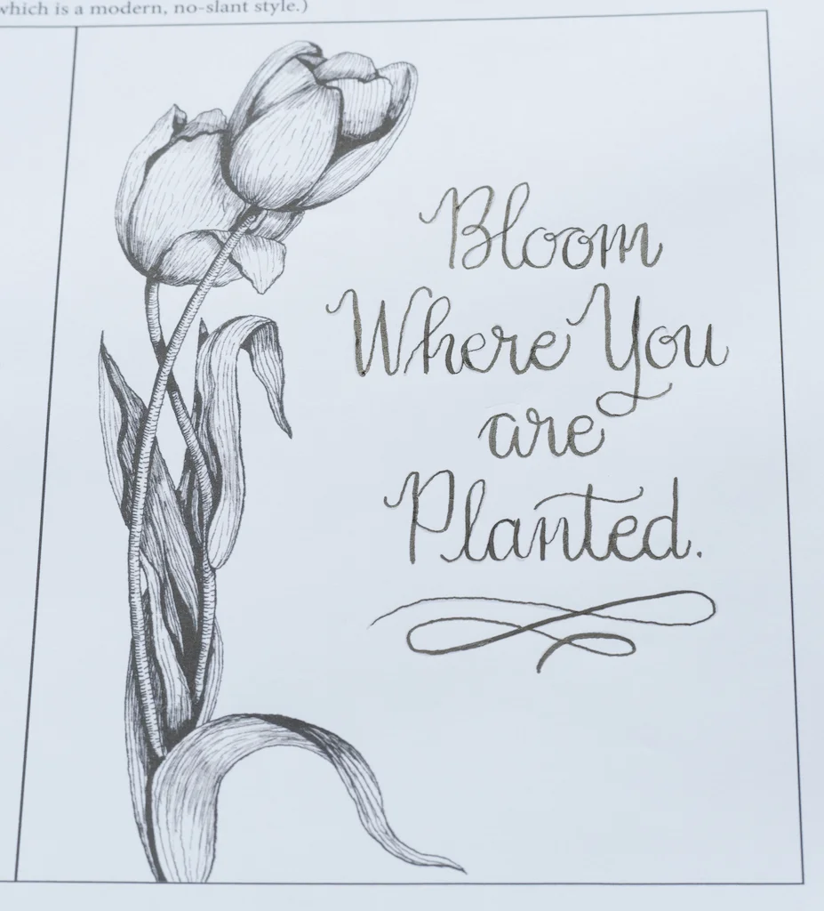 Bloom.jpg
