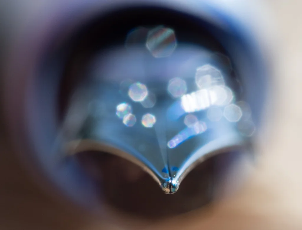 Macro of Tines.jpg