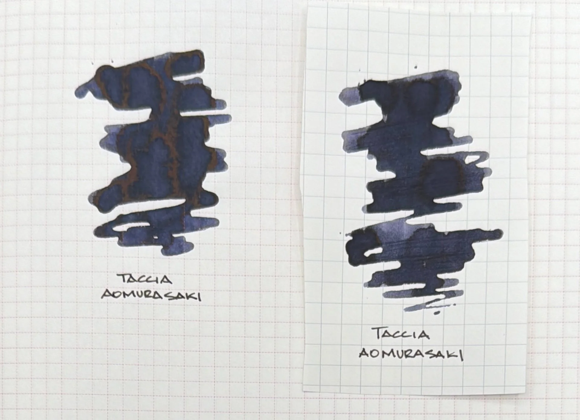 Taccia Aomurasaki Review