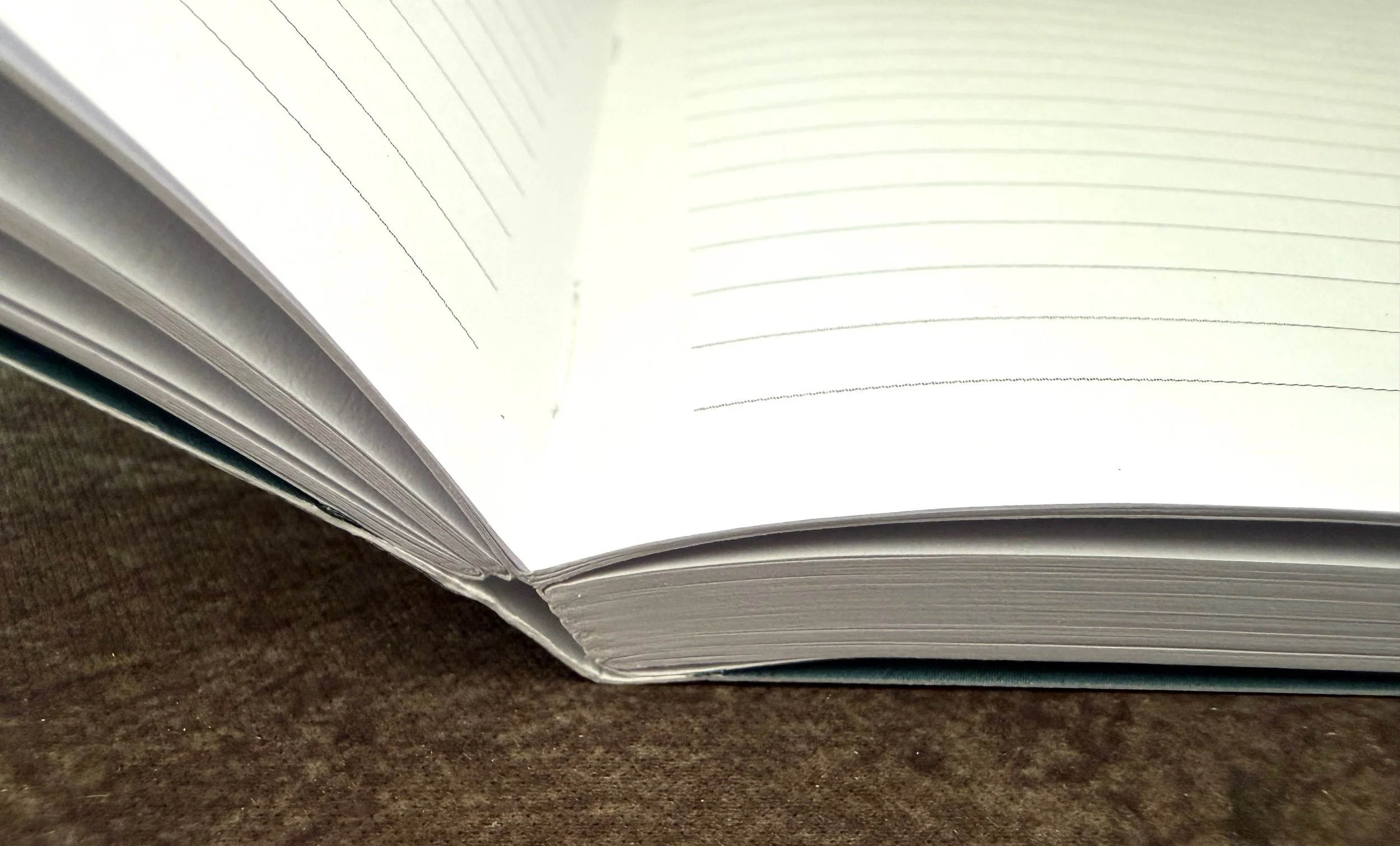 Retro 51 X Denik X Bat Conservation International Notebook Binding