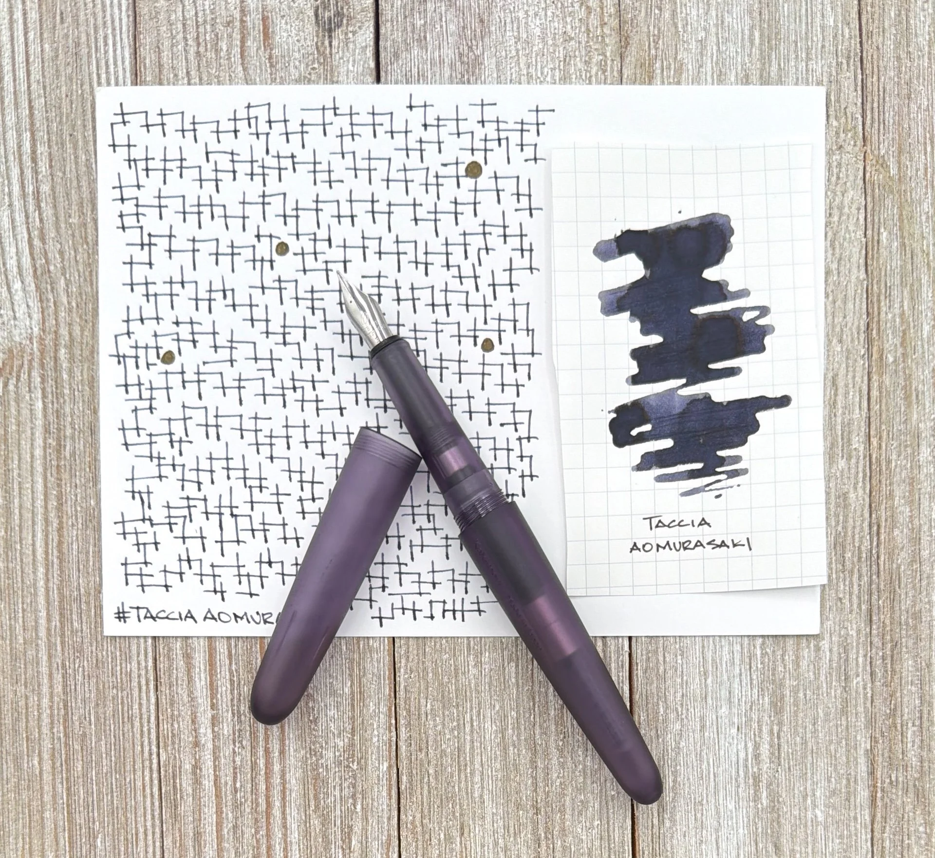Kakimori Frost Fountain Pen Taccia Aomurasaki Ink