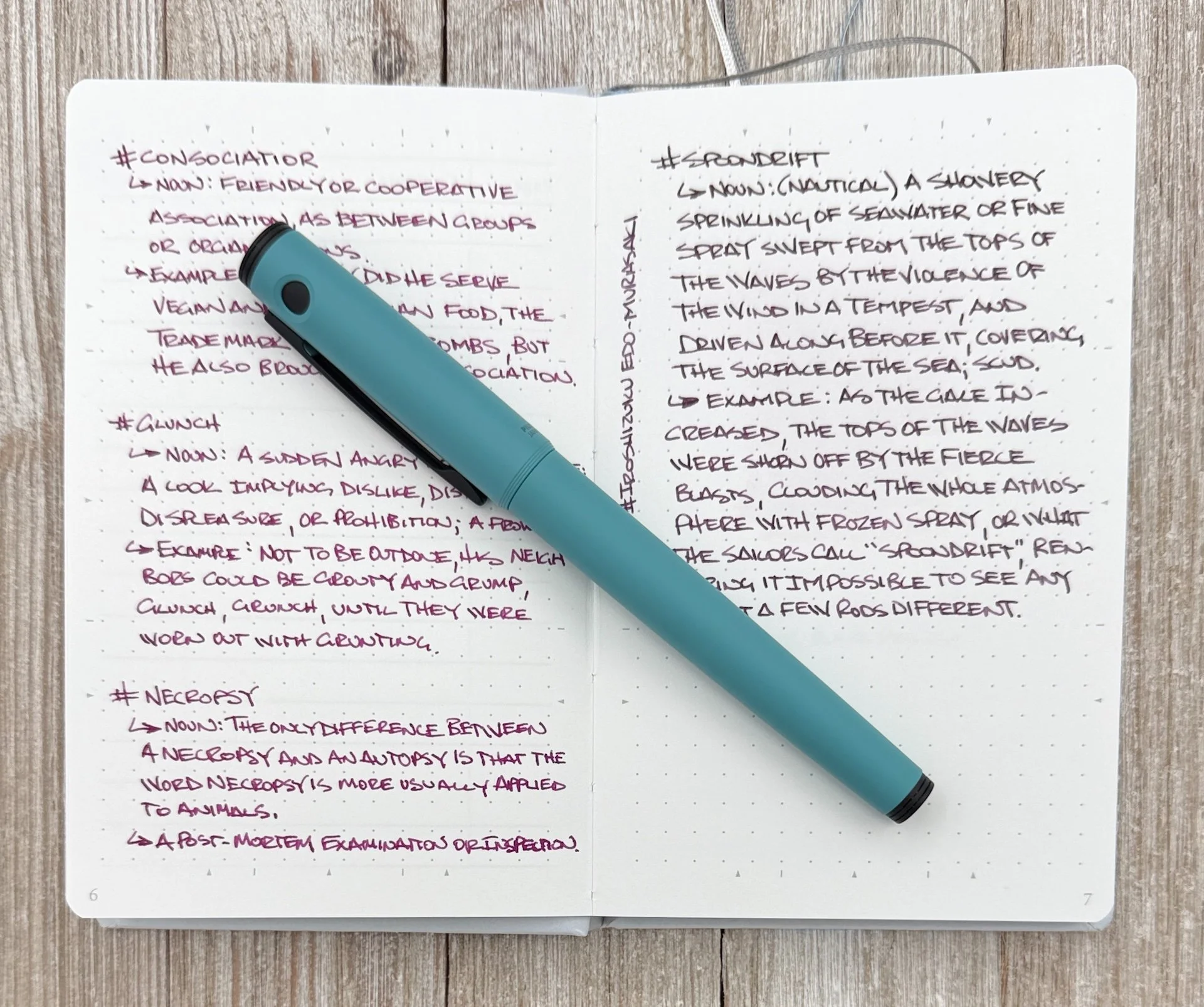 Maruman Mnemosyne Journal A6