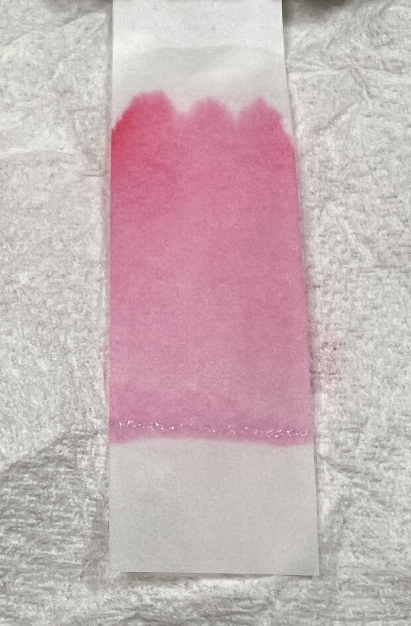 Fountain Pen Ink Chromatography