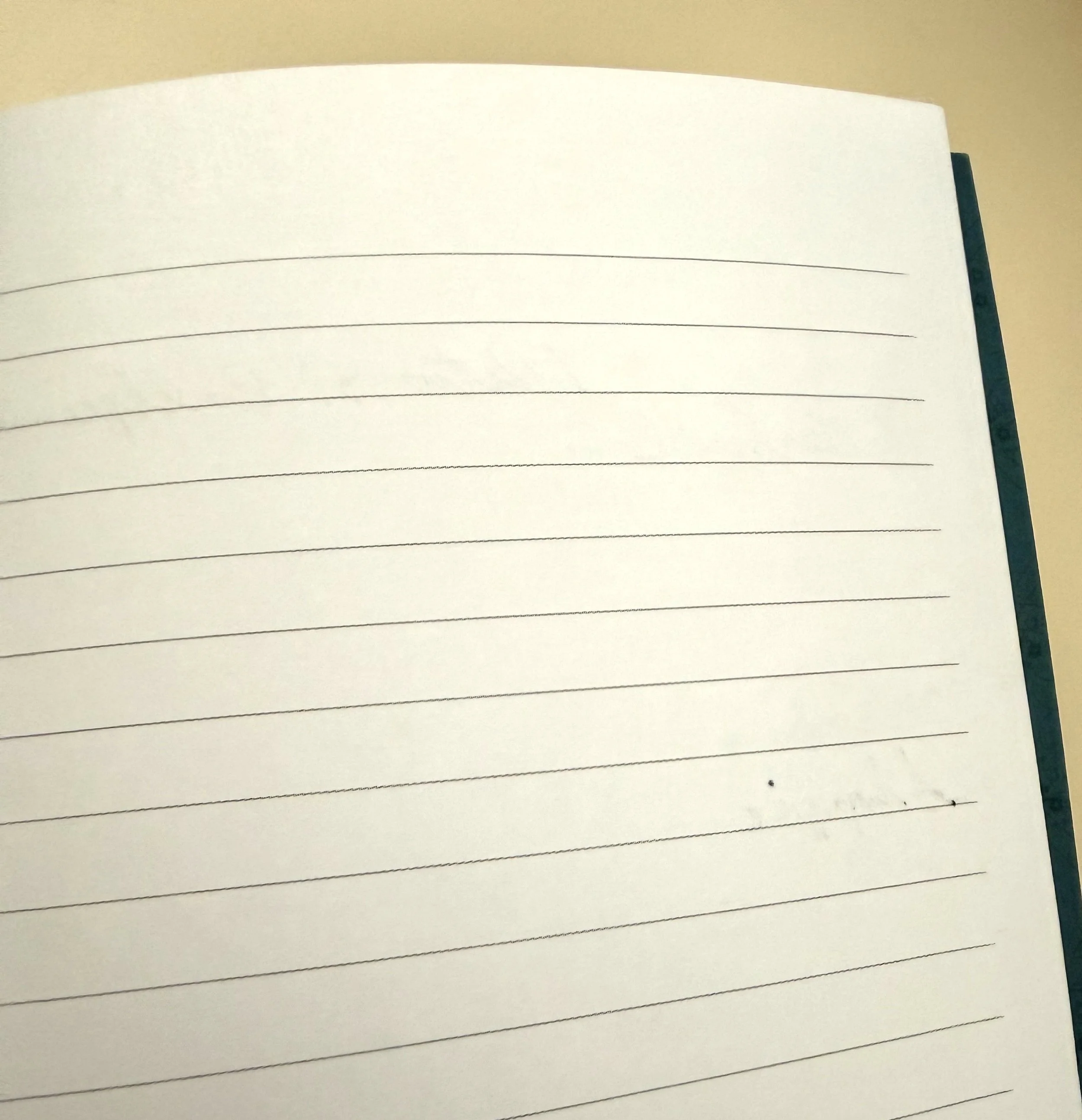 Retro 51 X Denik X Bat Conservation International Notebook Back