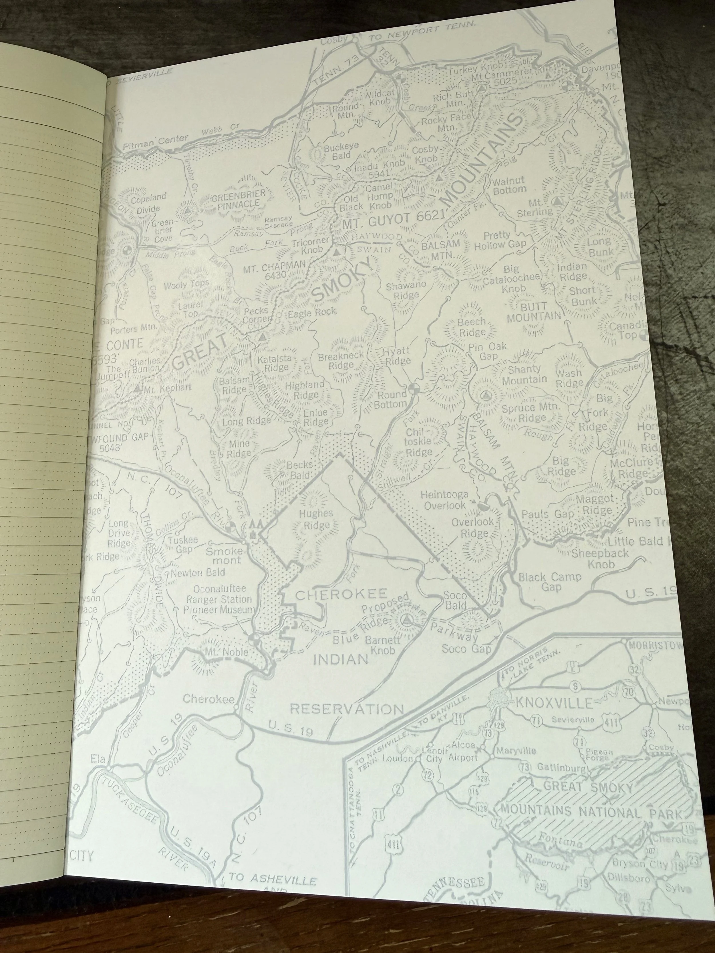 Profolio Oasis Notebook Cover