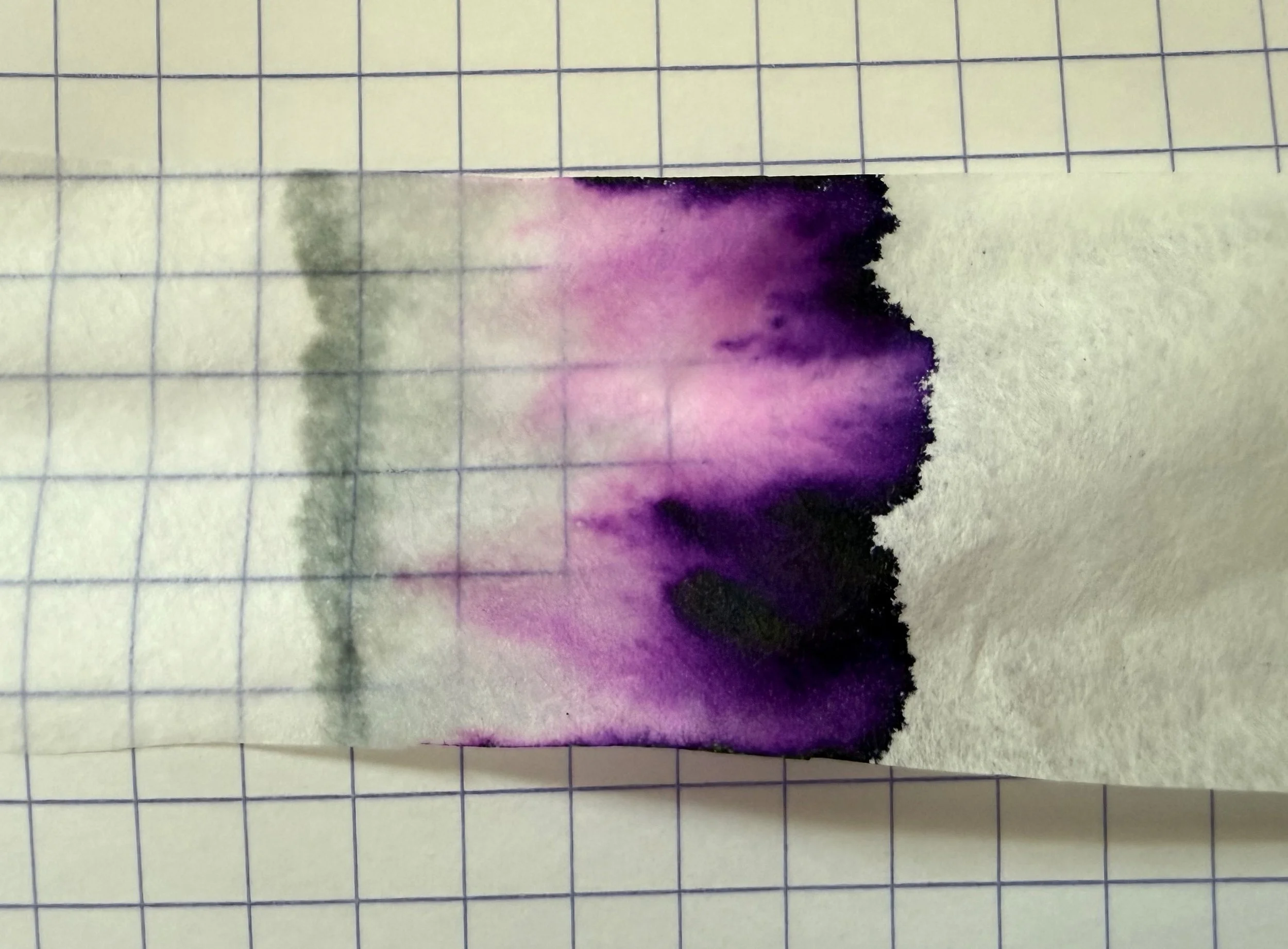 Octopus Fluids Violet Medusa