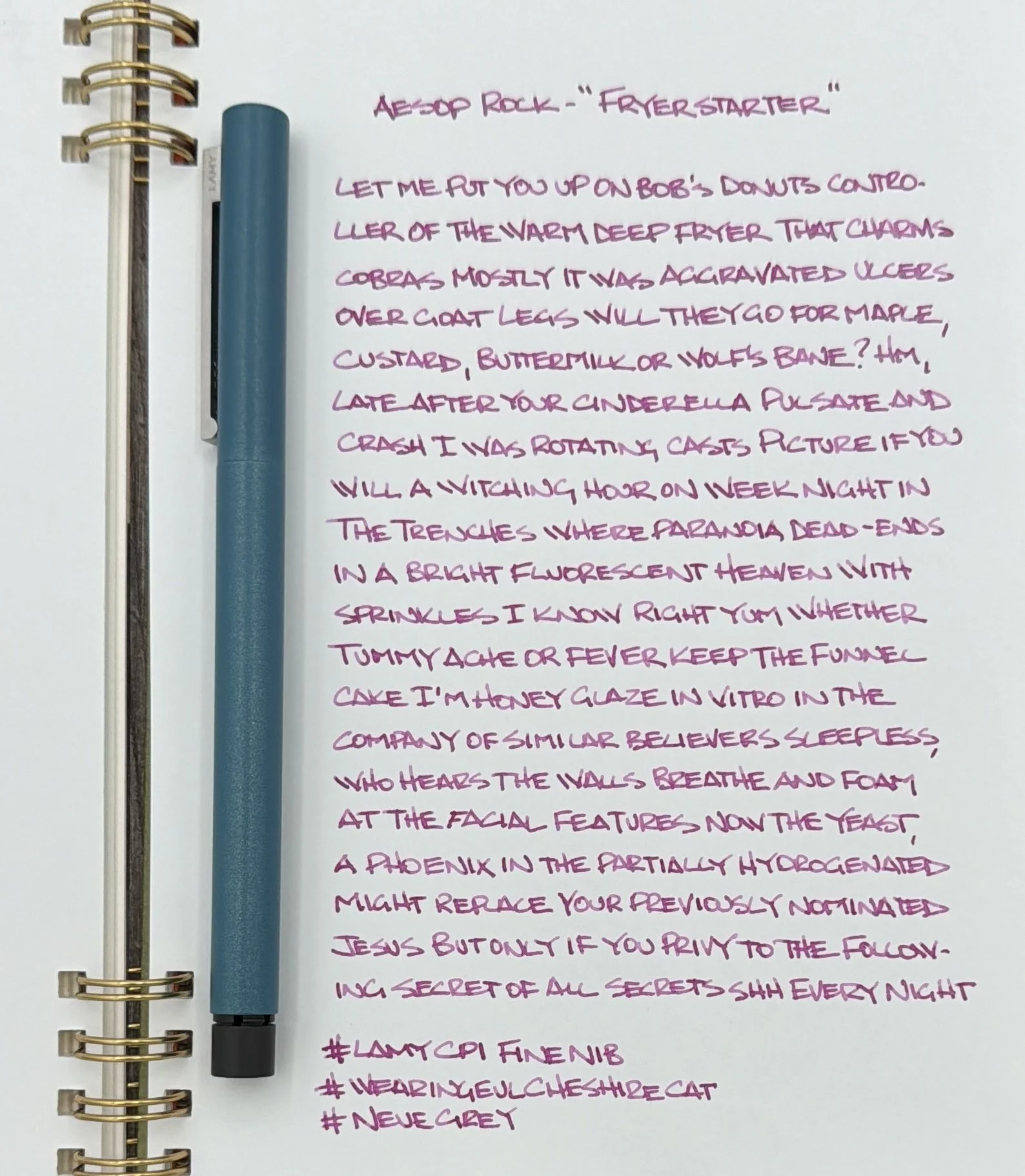 LAMY CP1 Fountain Pen Fine Nib