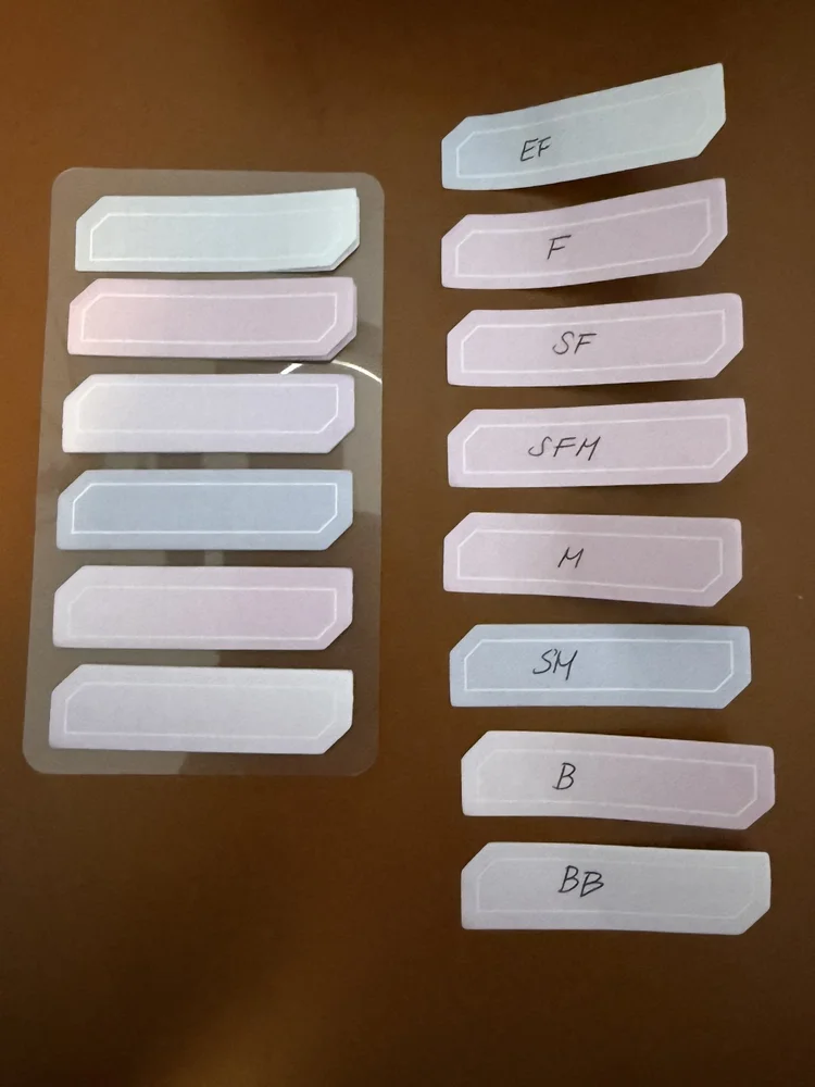 Piolet Ranking Pilot Custom 74 - Ranking the Nibs — The Pen Addict