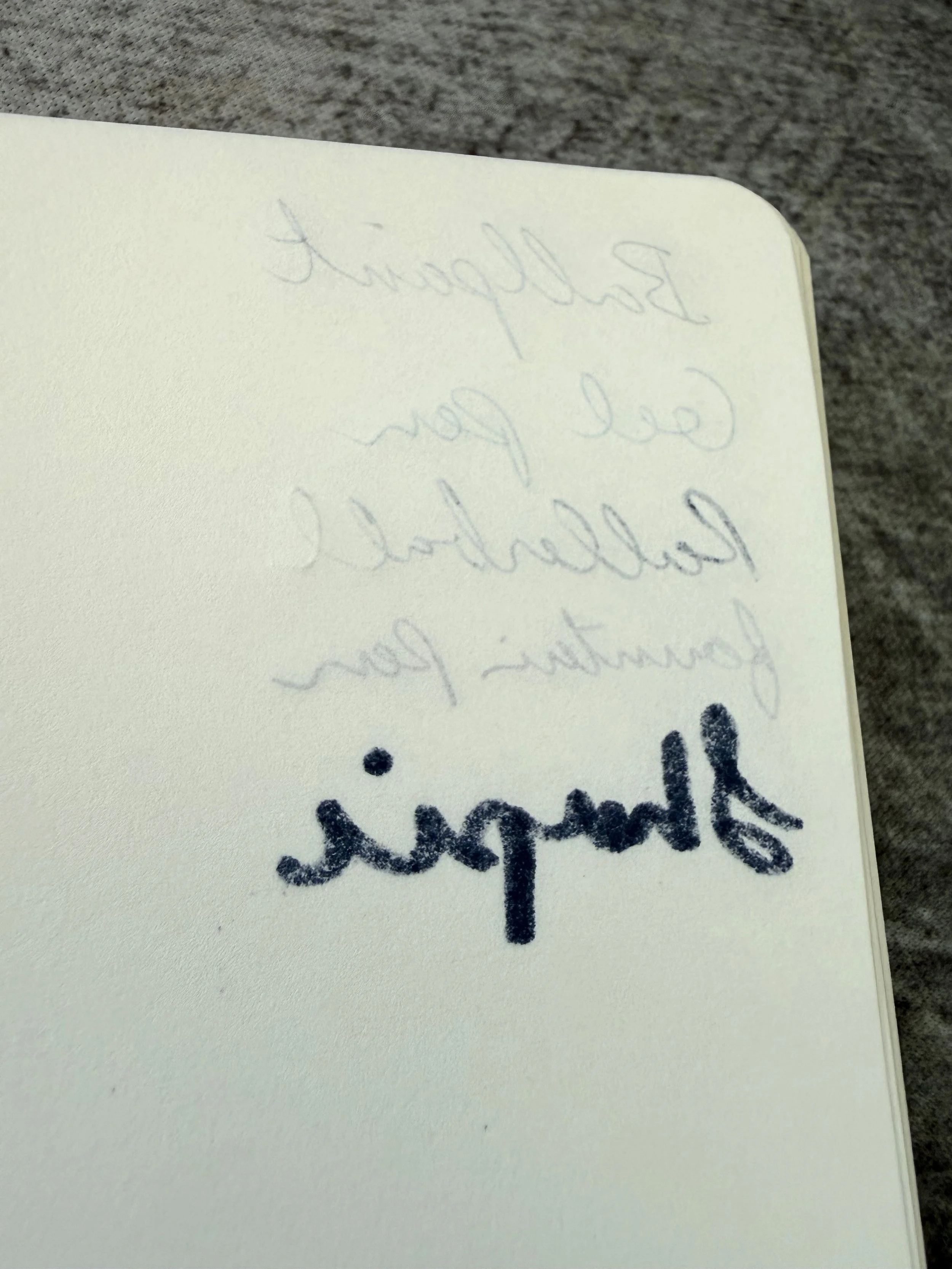 Karatis A5 Notebook Writing Back