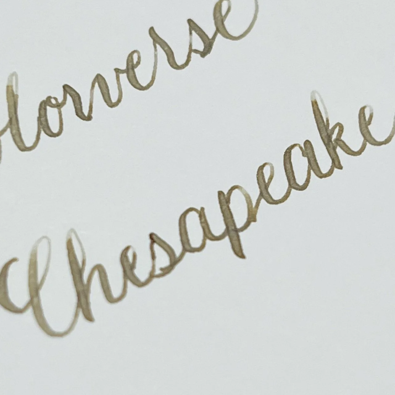 Colorverse Chesapeake