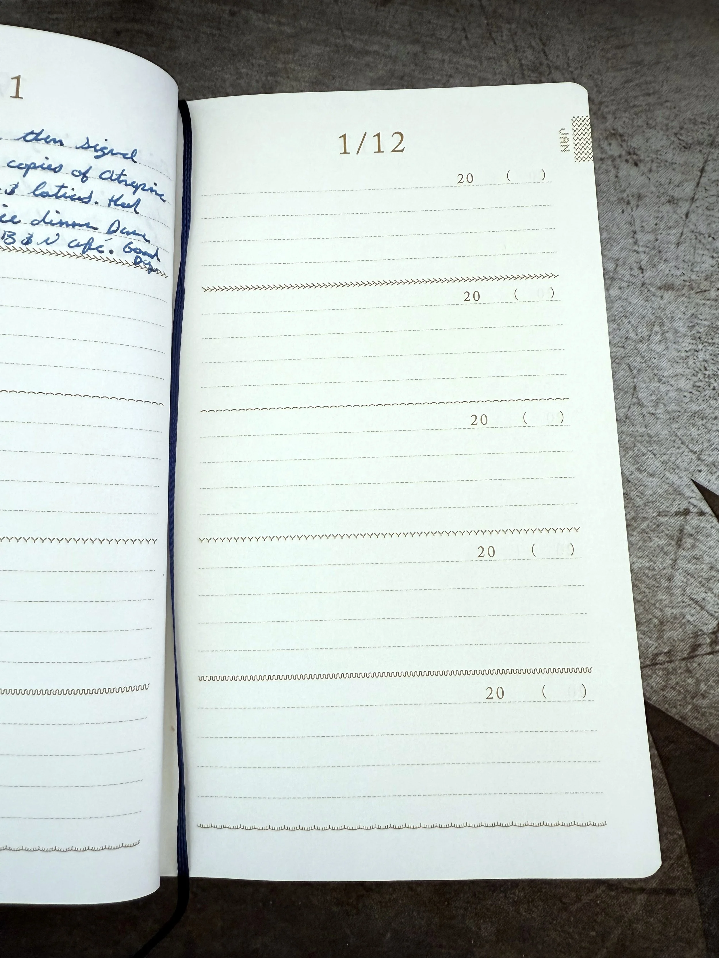 Midori 5 Year Diary Embroidered Pages