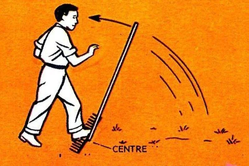 Platinum Curidas Rake Step