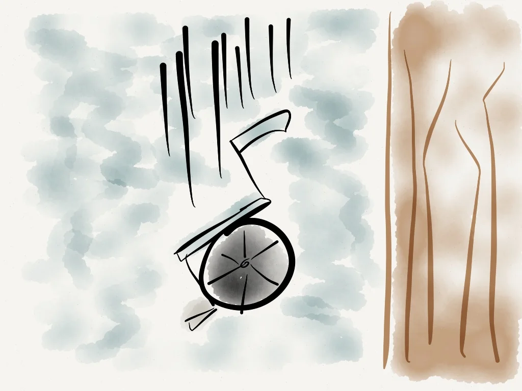 Transient