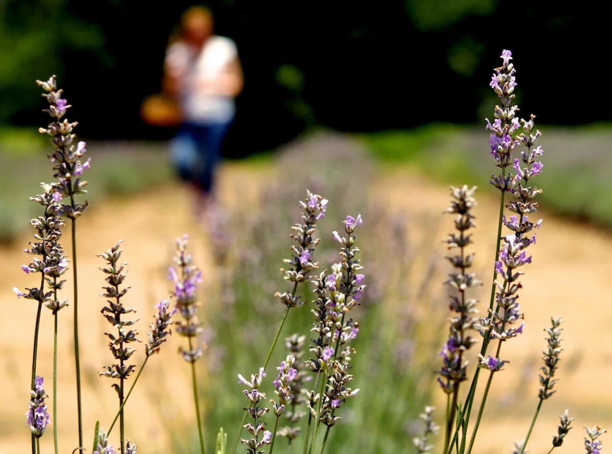 nature_09.jpg