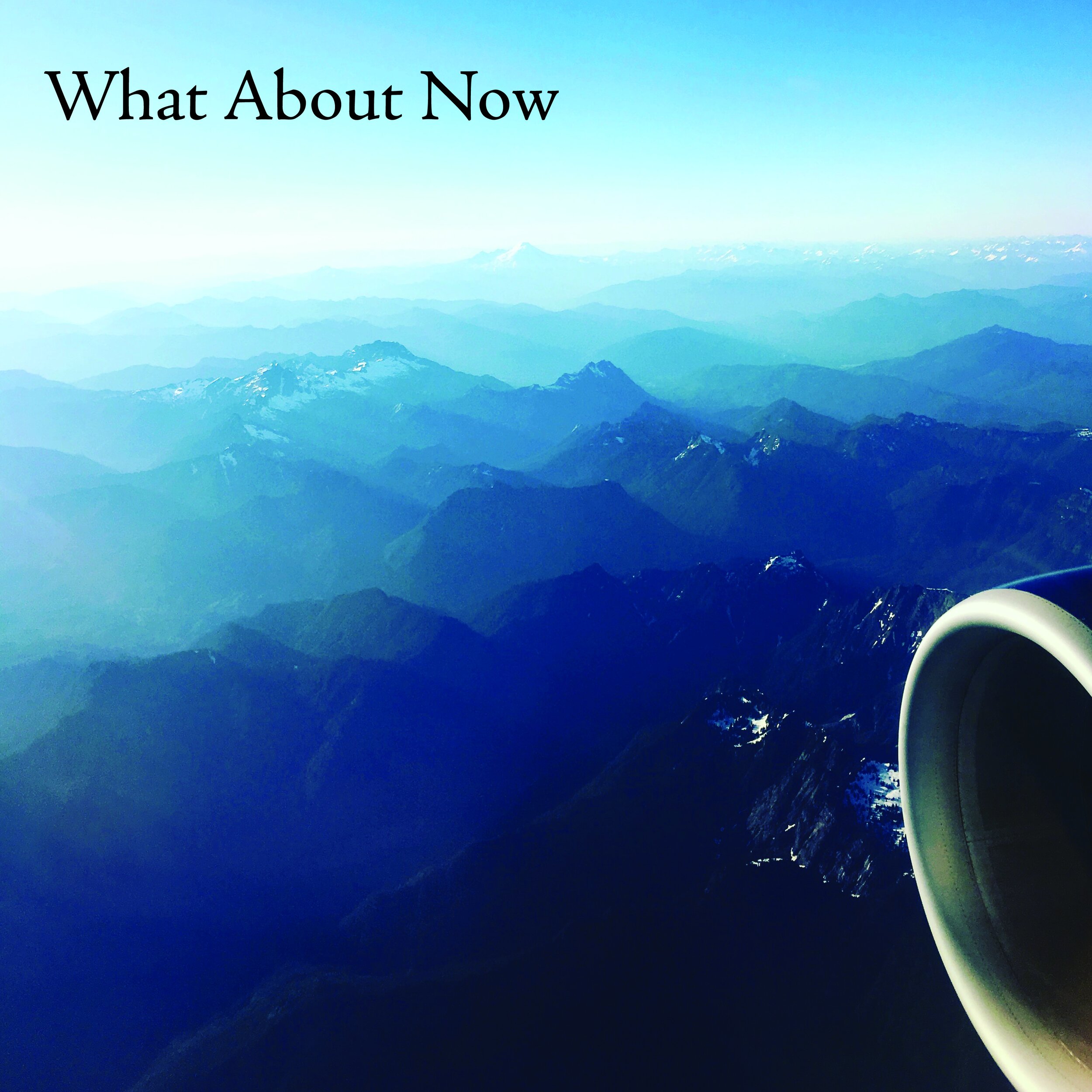 WAN front cover copy.jpg