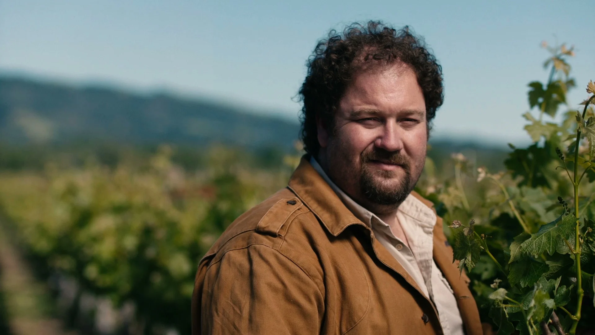 Price Gun Dir Cut 052016-2.jpeg