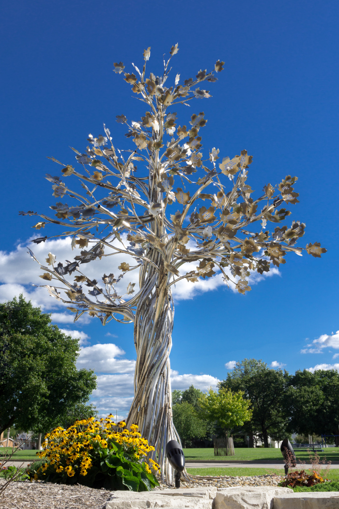 morgan-tree-1-medium.jpg