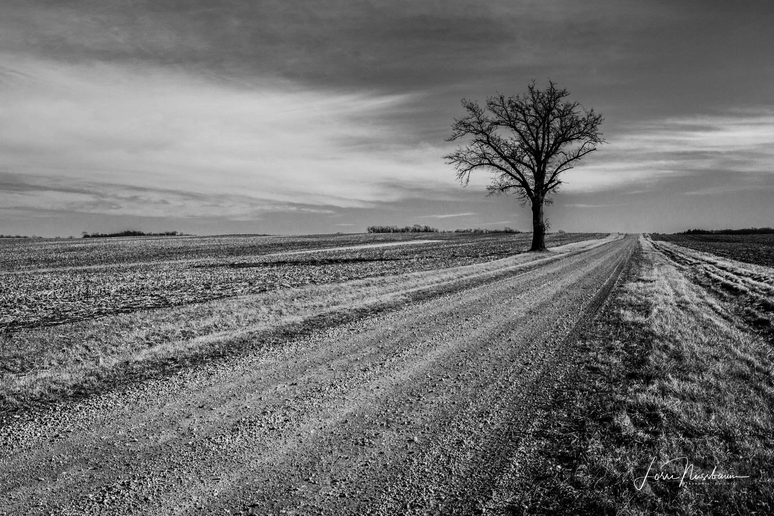 _MG_5301.jpg