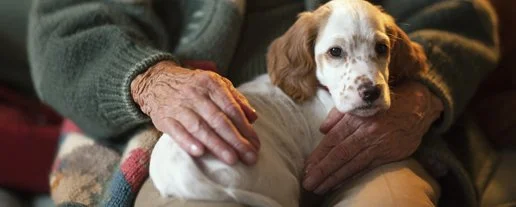 CRITTER MEALS ON WHEELS FUND