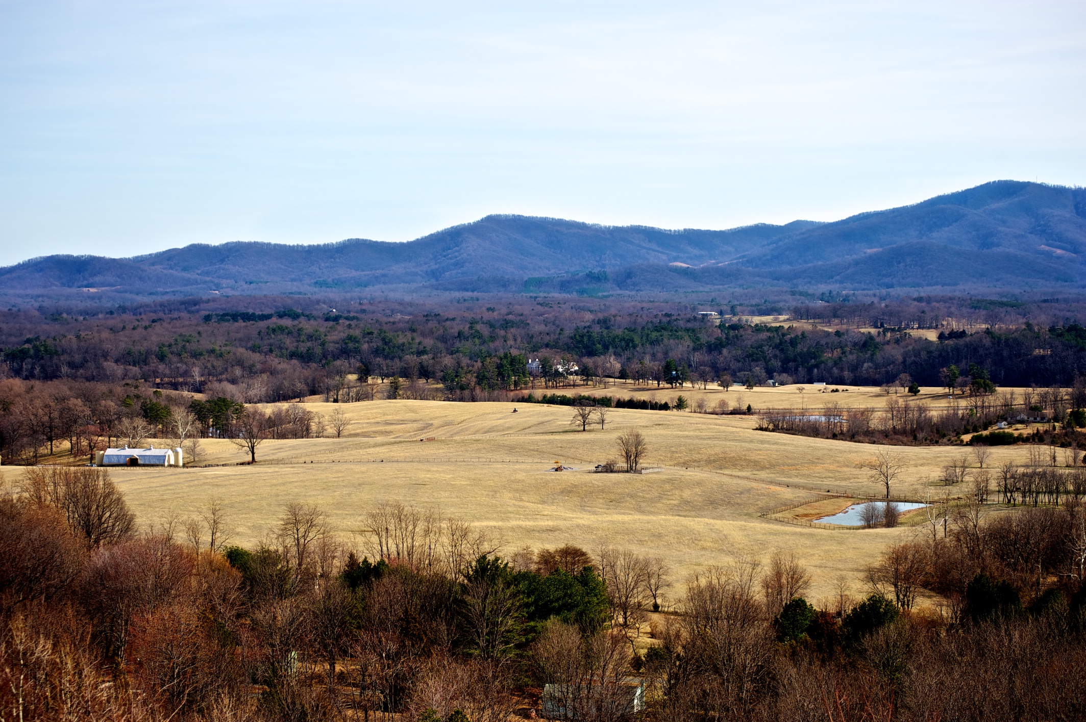 _dsc4655.jpg