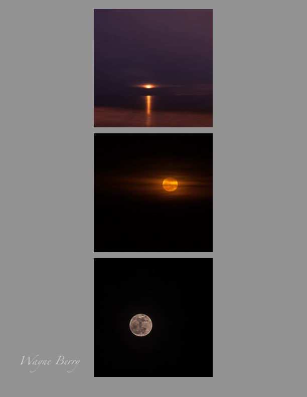 Moon x3.jpg