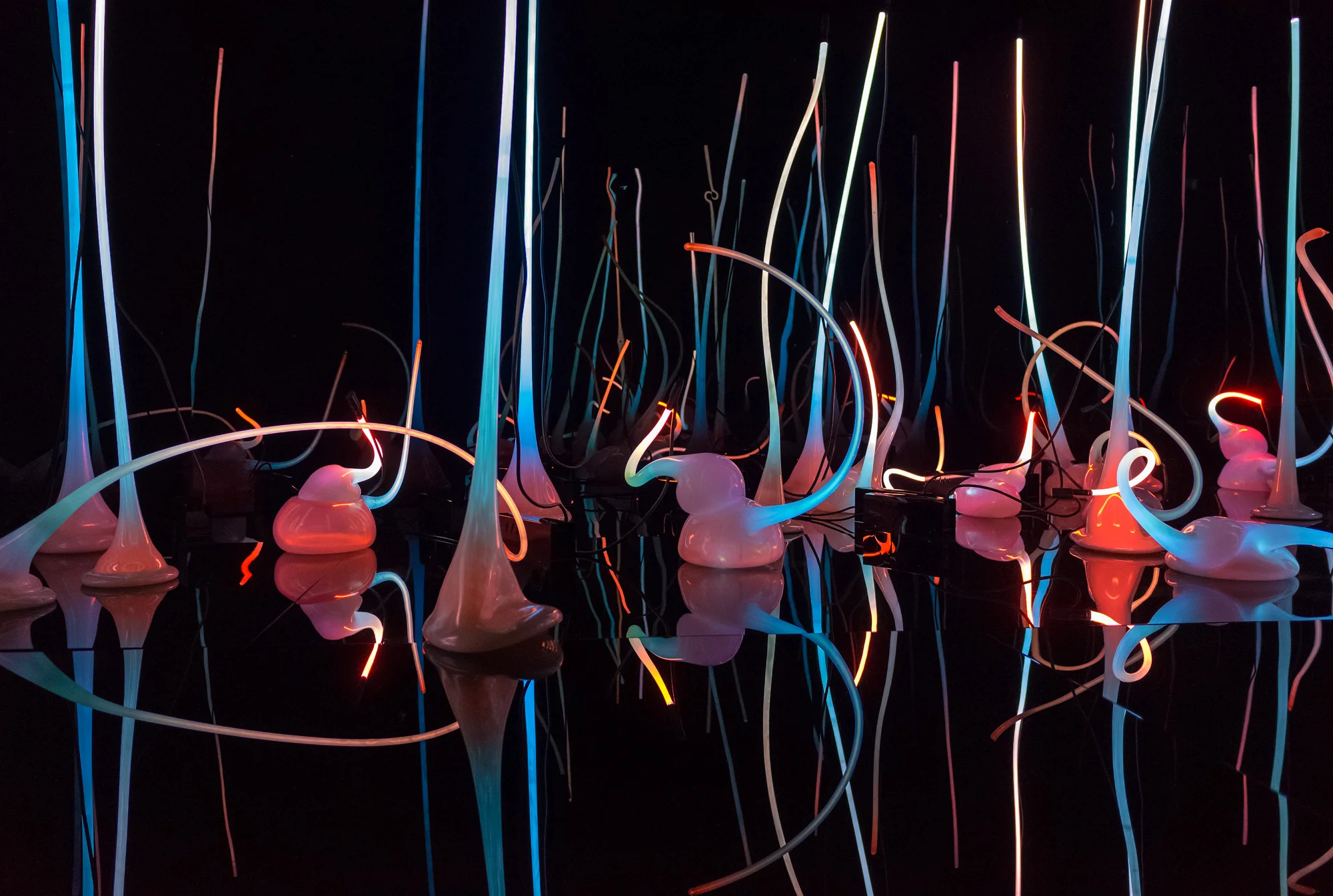 20150922_GR II_R0000179.jpg