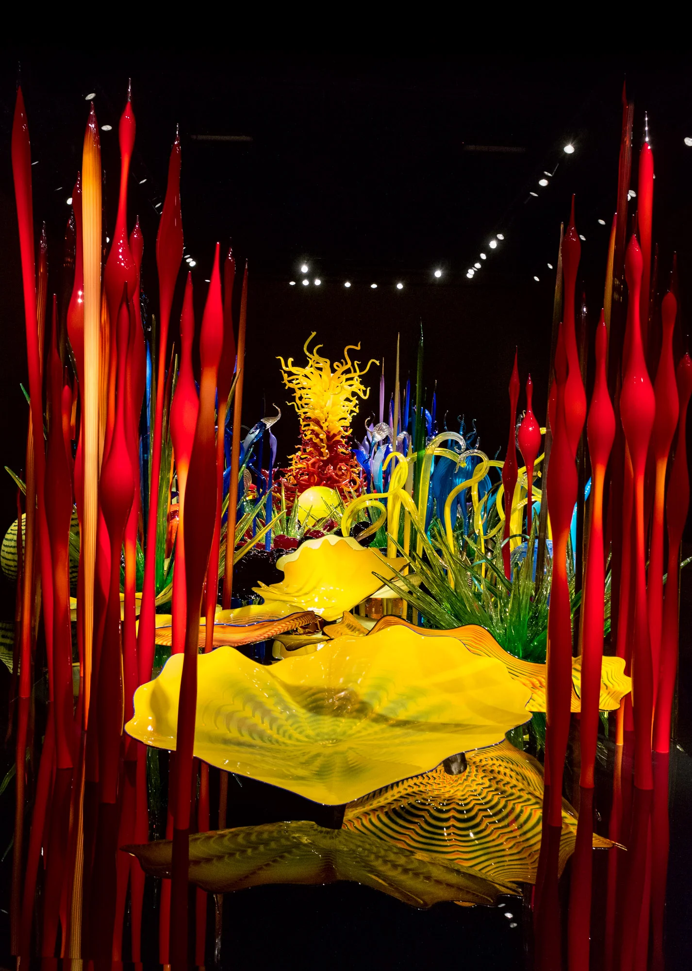 20150922_GR II_R0000190.jpg