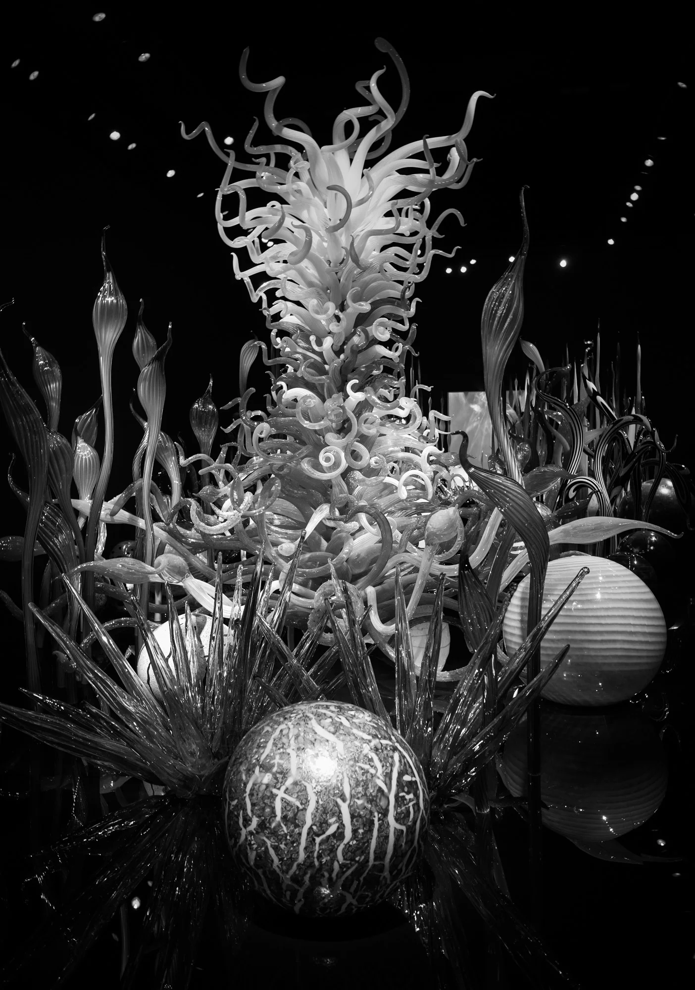20150922_GR II_R0000198.jpg