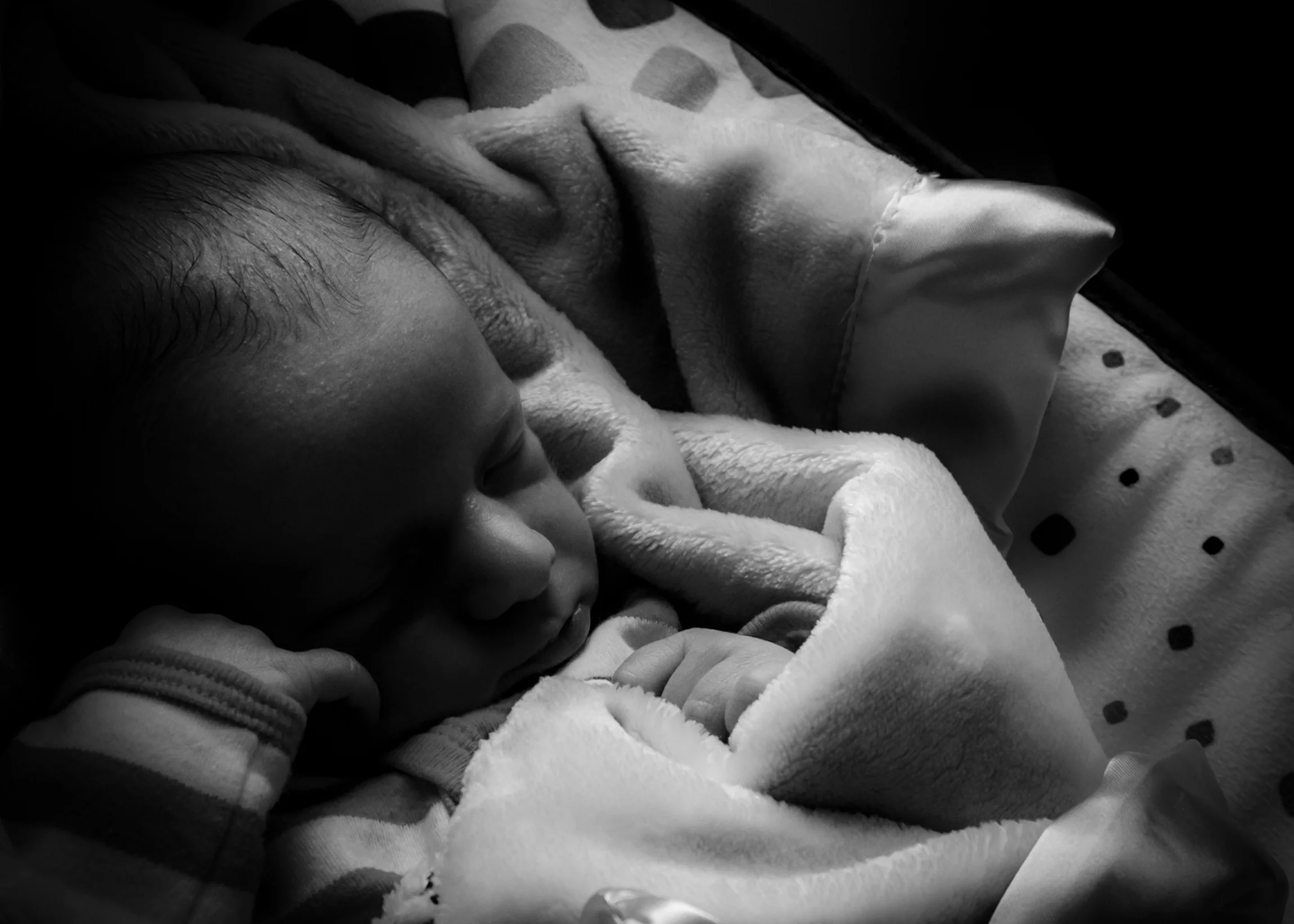 lg_20150514_X-T1_DSCF3065.jpg
