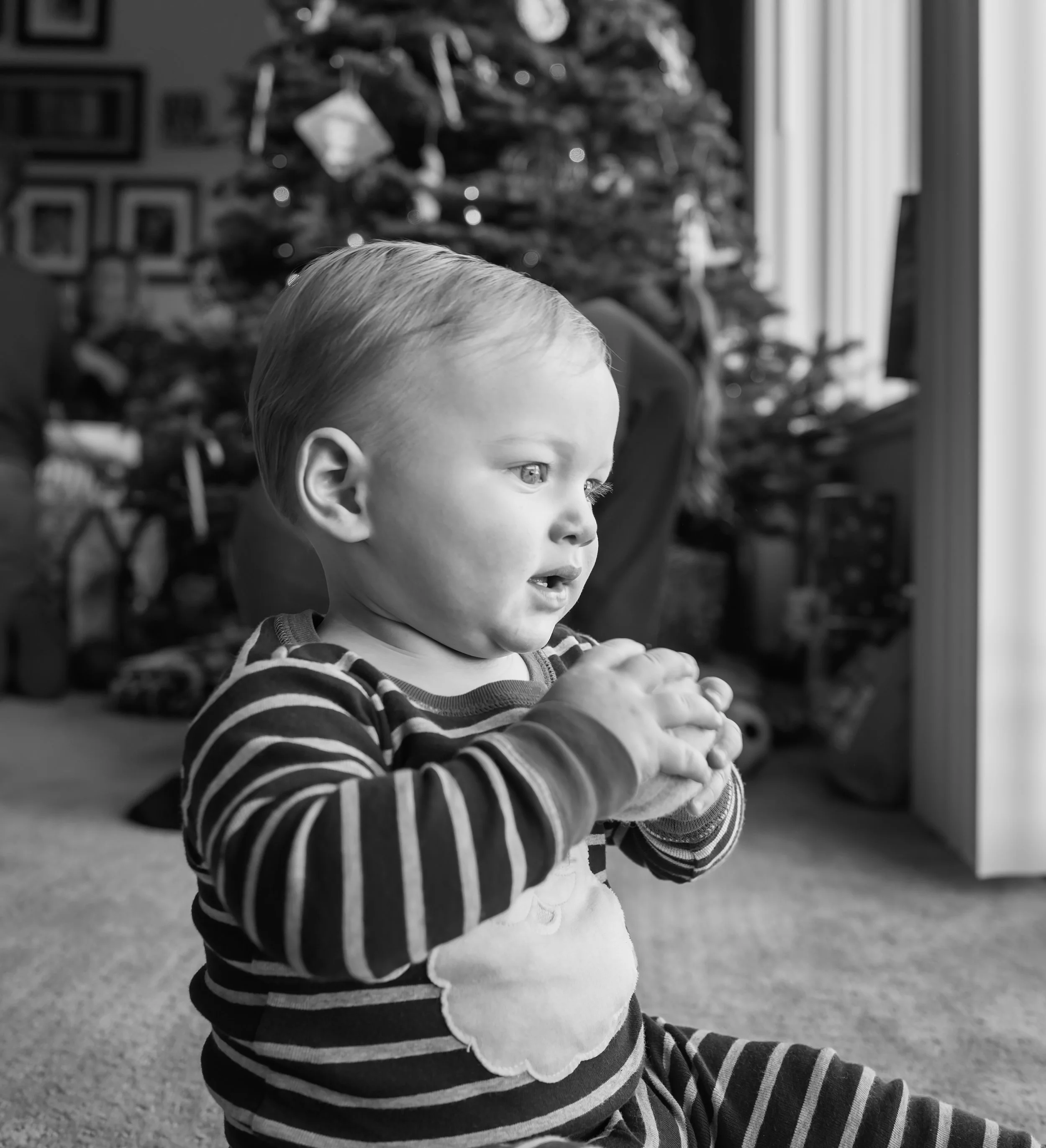 lg_20161224_LEICA Q (Typ 116)_L1000479.jpg