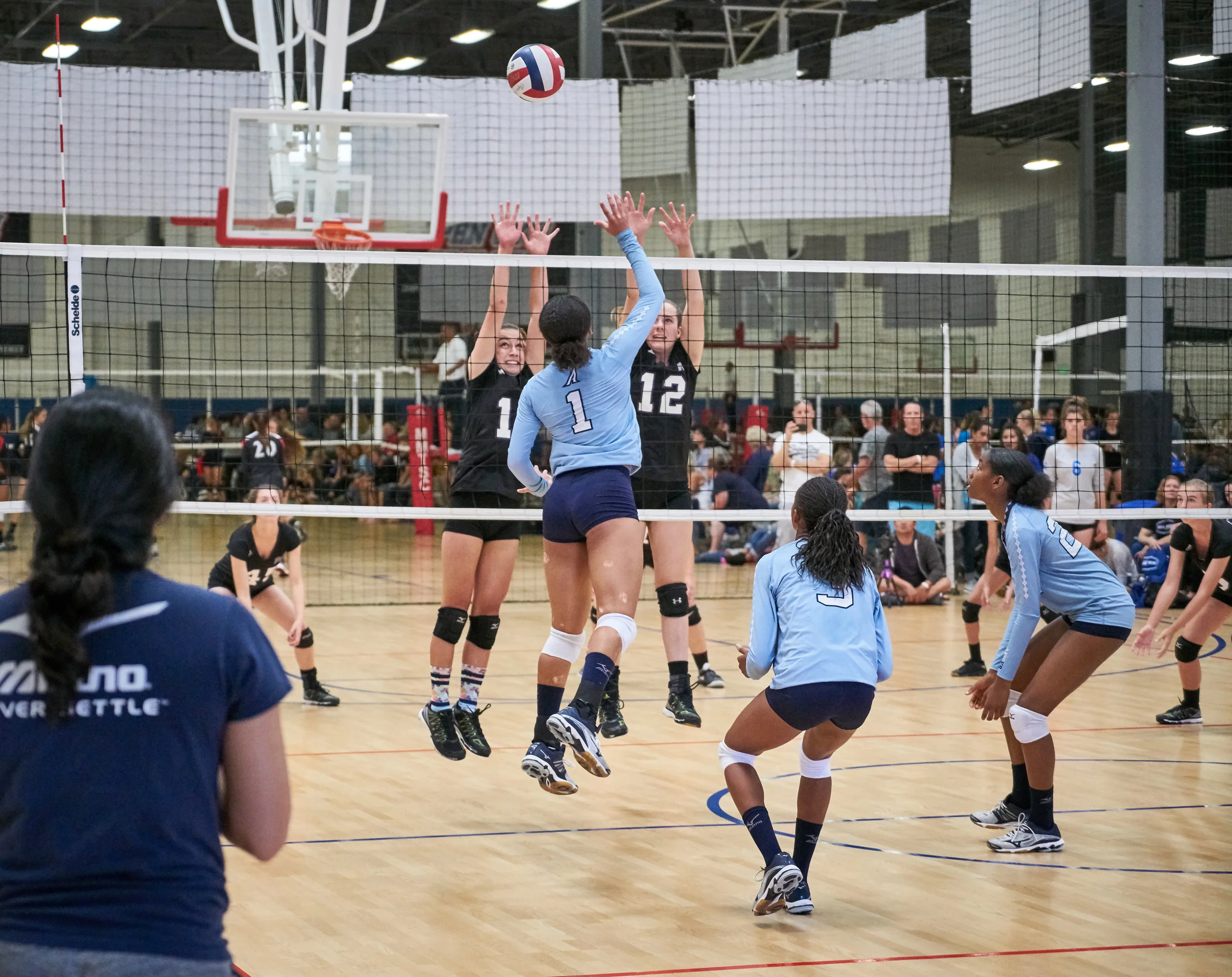lg_20170604_A7R2_DSC01182_c1.jpg