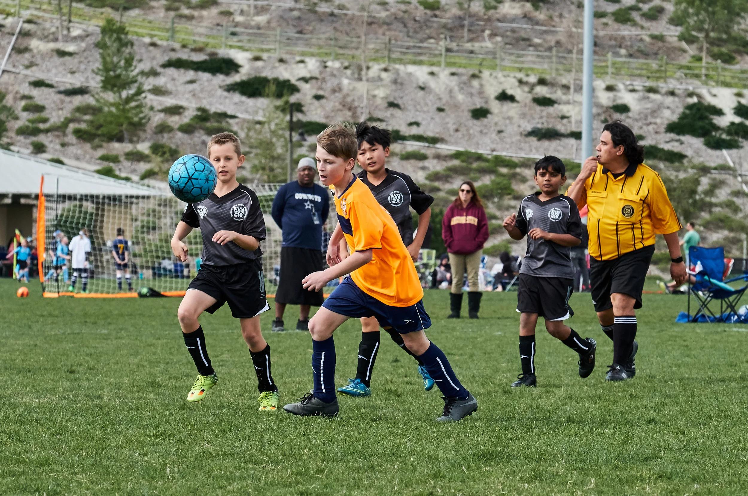 lg_20170225_FujiXT2_DSCF0088.jpg