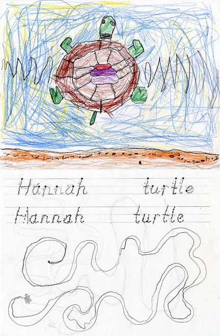 Turtle by Hannah, age 5