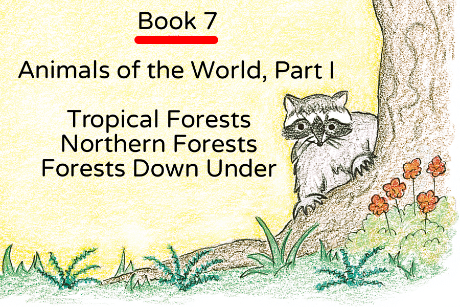 Our Books Draw Write Now Draw Your World our-books-draw-write-now-draw-your-world