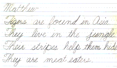 Matthew, age 7