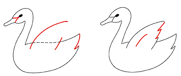 Swan Lesson, Draw-Write-Now, Book 1
