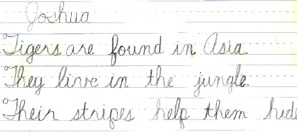 Joshua's writing has a slight slant.