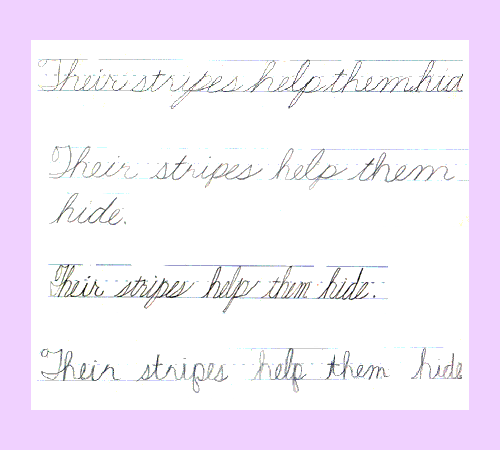 These first and second-grade children learned to write together. They each show an individual style, and all are beautiful. The papers are from the end of their school year.