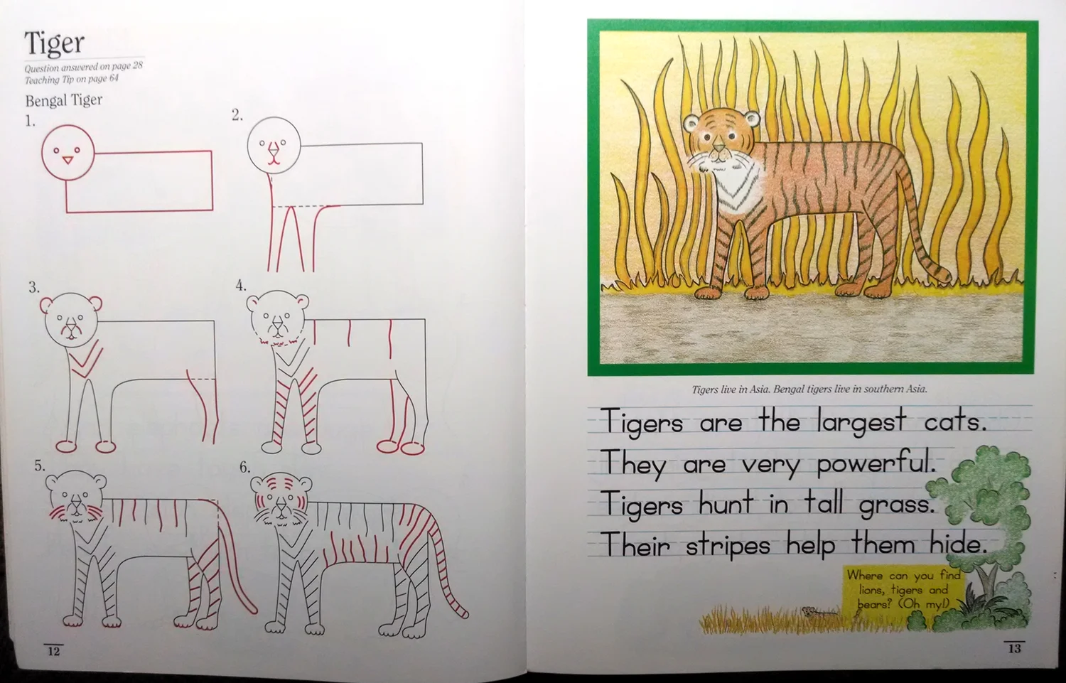 The lessons are simple and clean. This is how the Tiger Lesson appears in Draw-Write-Now, Book 7. CLICK IMAGE TO ENLARGE 