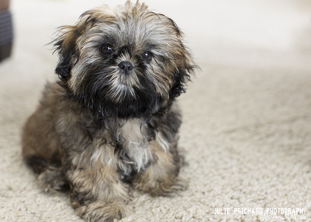 You talkin' to me?