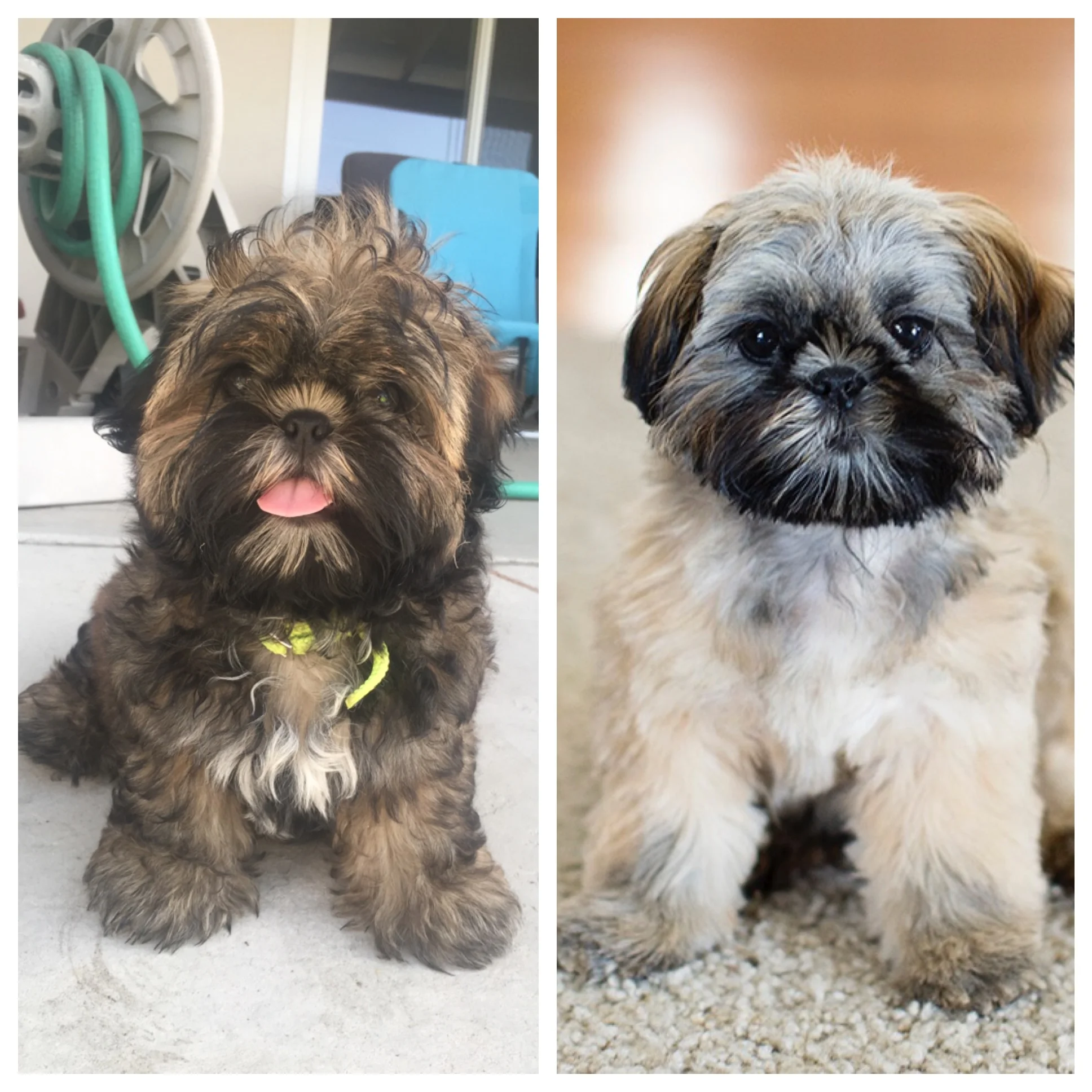Before, After