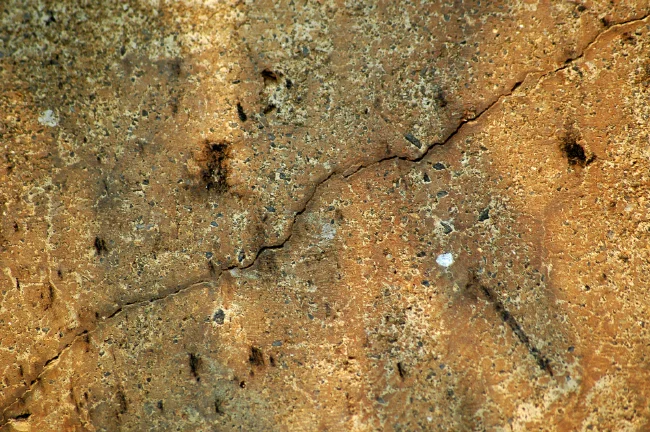 How do you feel about lines?