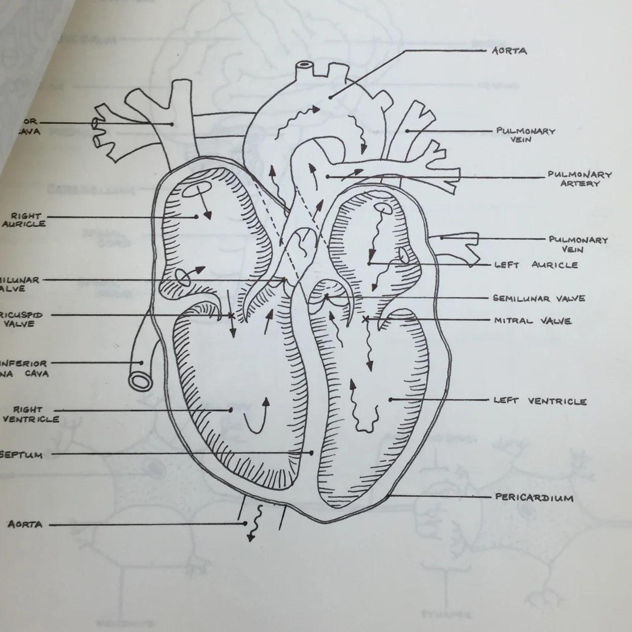 Learning About Hard Work