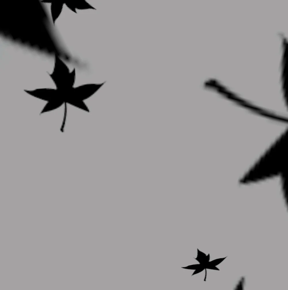 A little of this...a little of that..