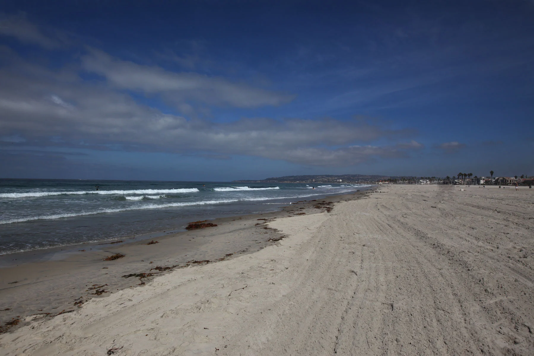 Oh. I'm Vegan. I guess.